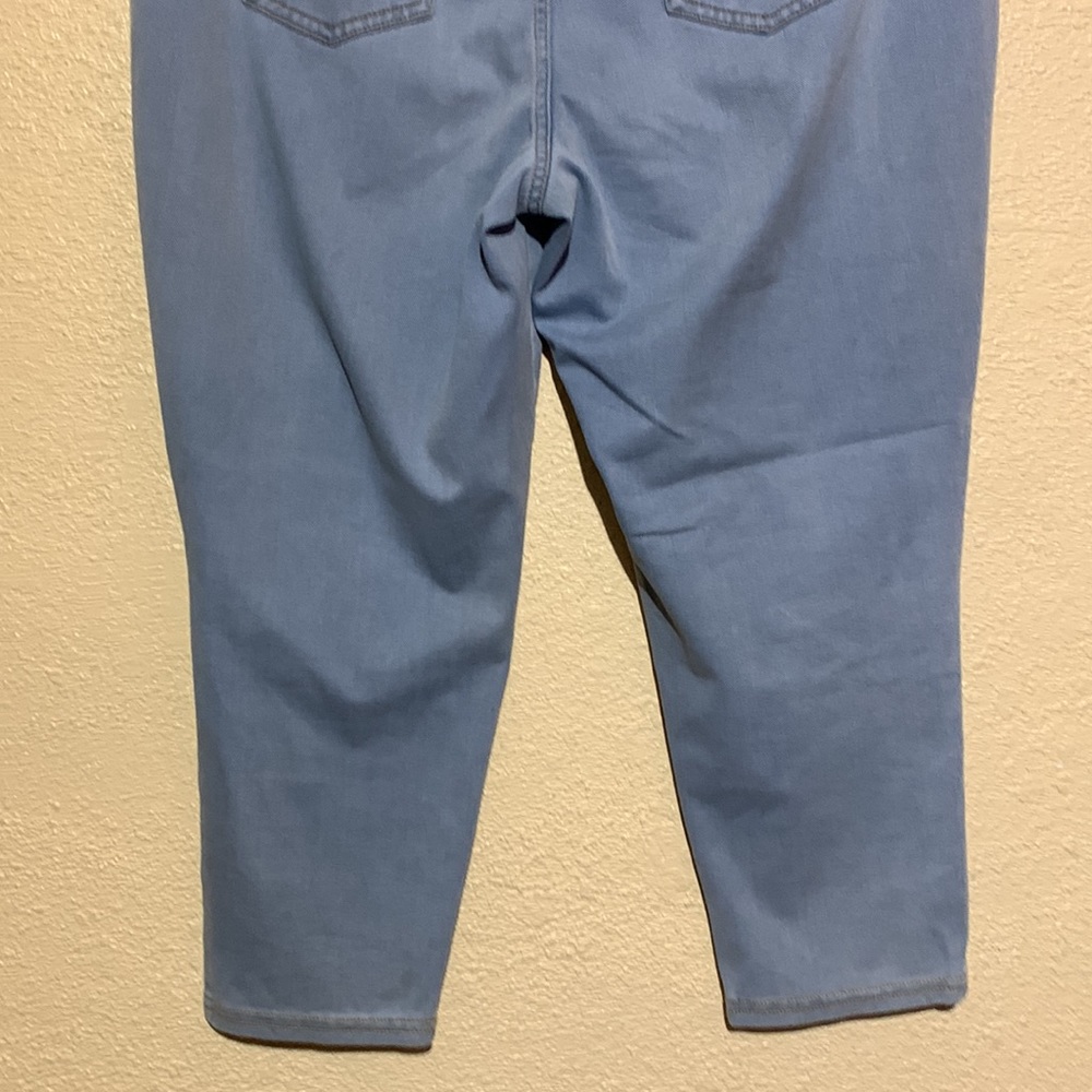 Style & Co Capris Pants Jeggins Blue Size L Stretchy Pull up - Picture 7 of 12